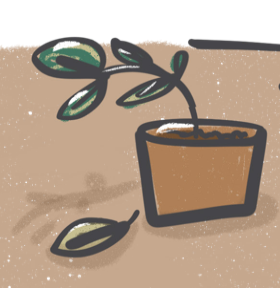 Don't wilt in your social service career.